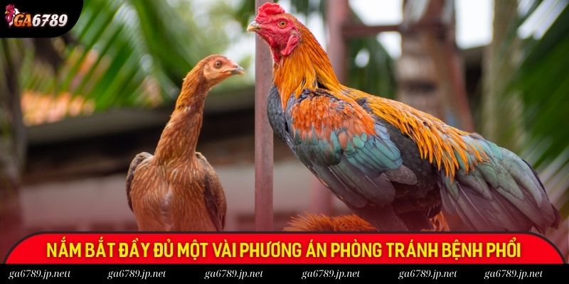 Nắm bắt đầy đủ một vài phương án phòng tránh bệnh phổi