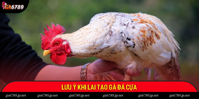 Một số lưu ý quan trọng