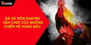 Đá gà đòn