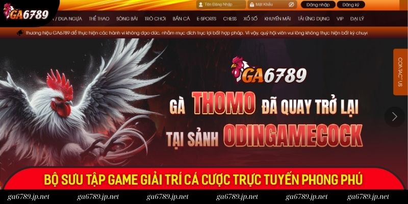 Bộ sưu tập game giải trí cá cược trực tuyến phong phú